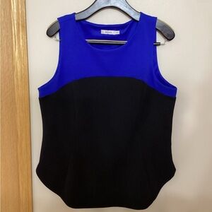 Blue and Black Sleeveless Top